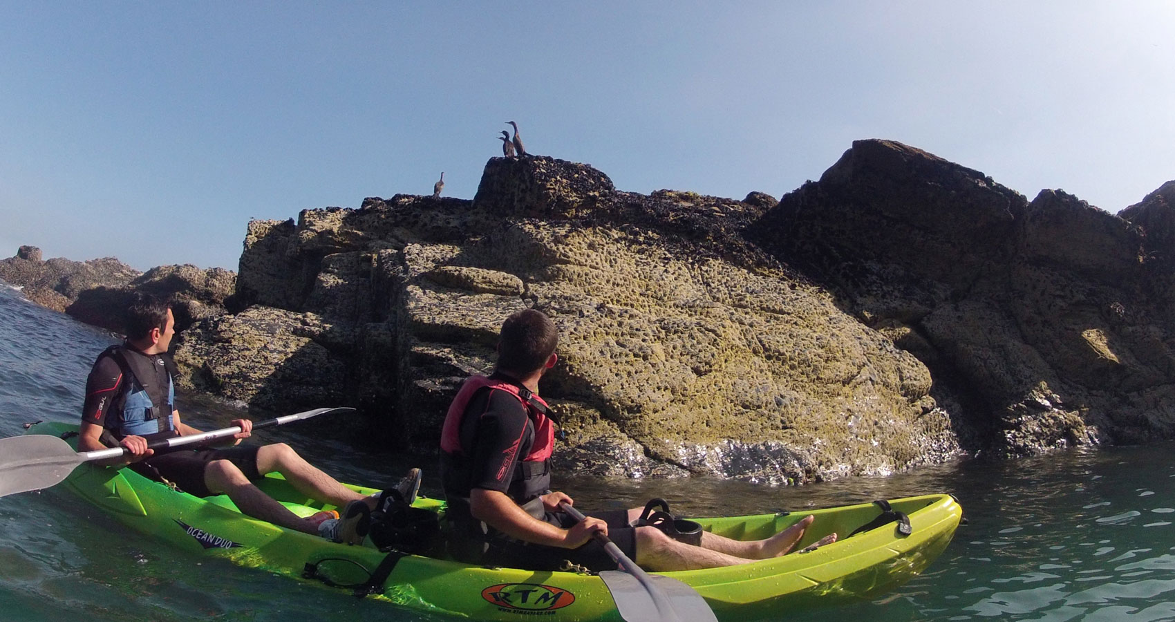 E.g. 'Kayak tours Port Isaac, Cornwall' Wildlife kayak tours.